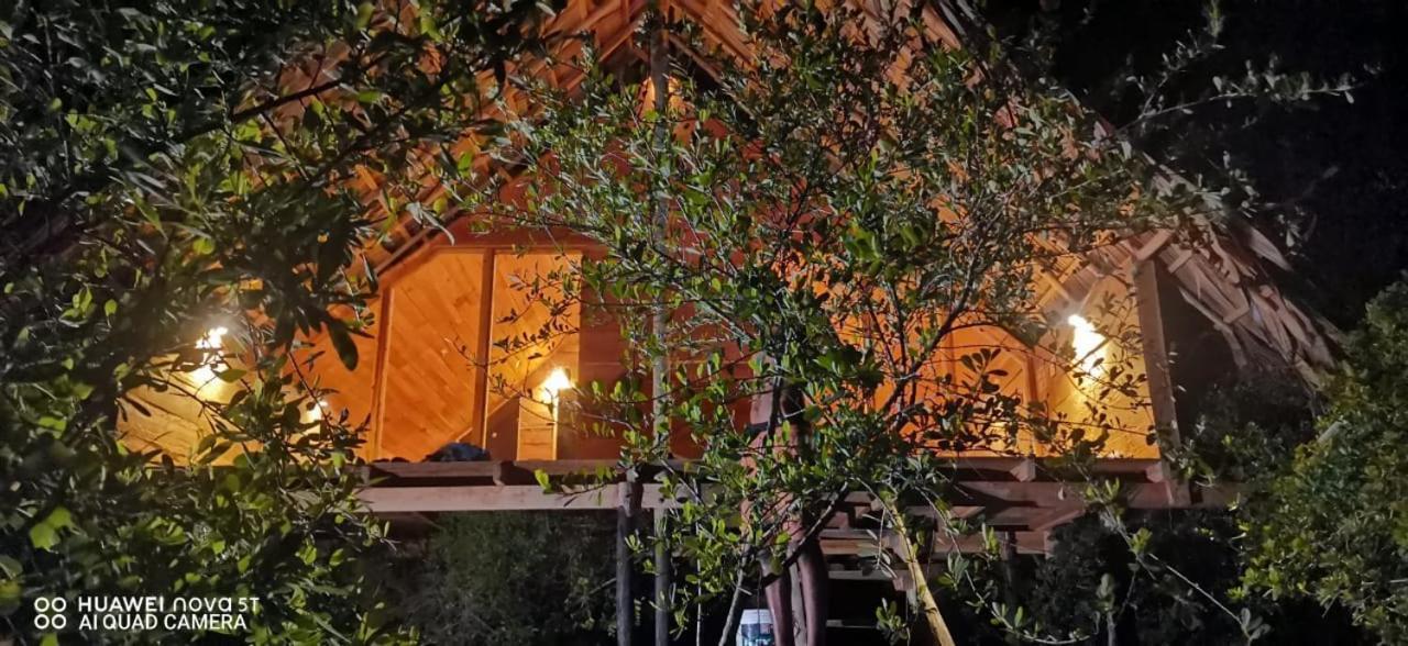 Hotel Mamba Yala Tissamaharama Esterno foto