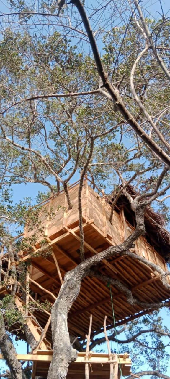 Hotel Mamba Yala Tissamaharama Esterno foto