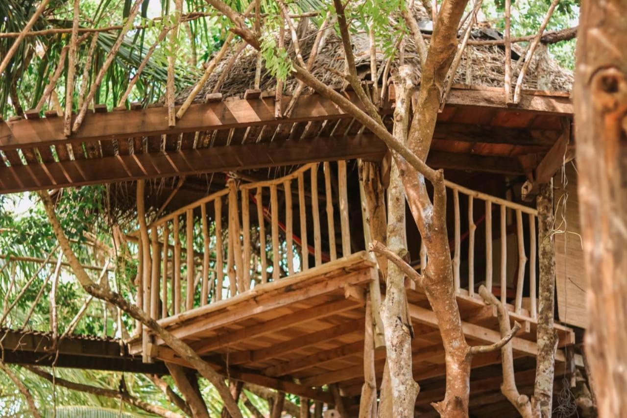 Hotel Mamba Yala Tissamaharama Esterno foto