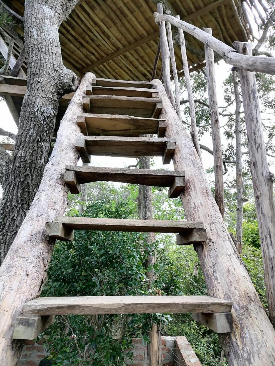 Hotel Mamba Yala Tissamaharama Esterno foto