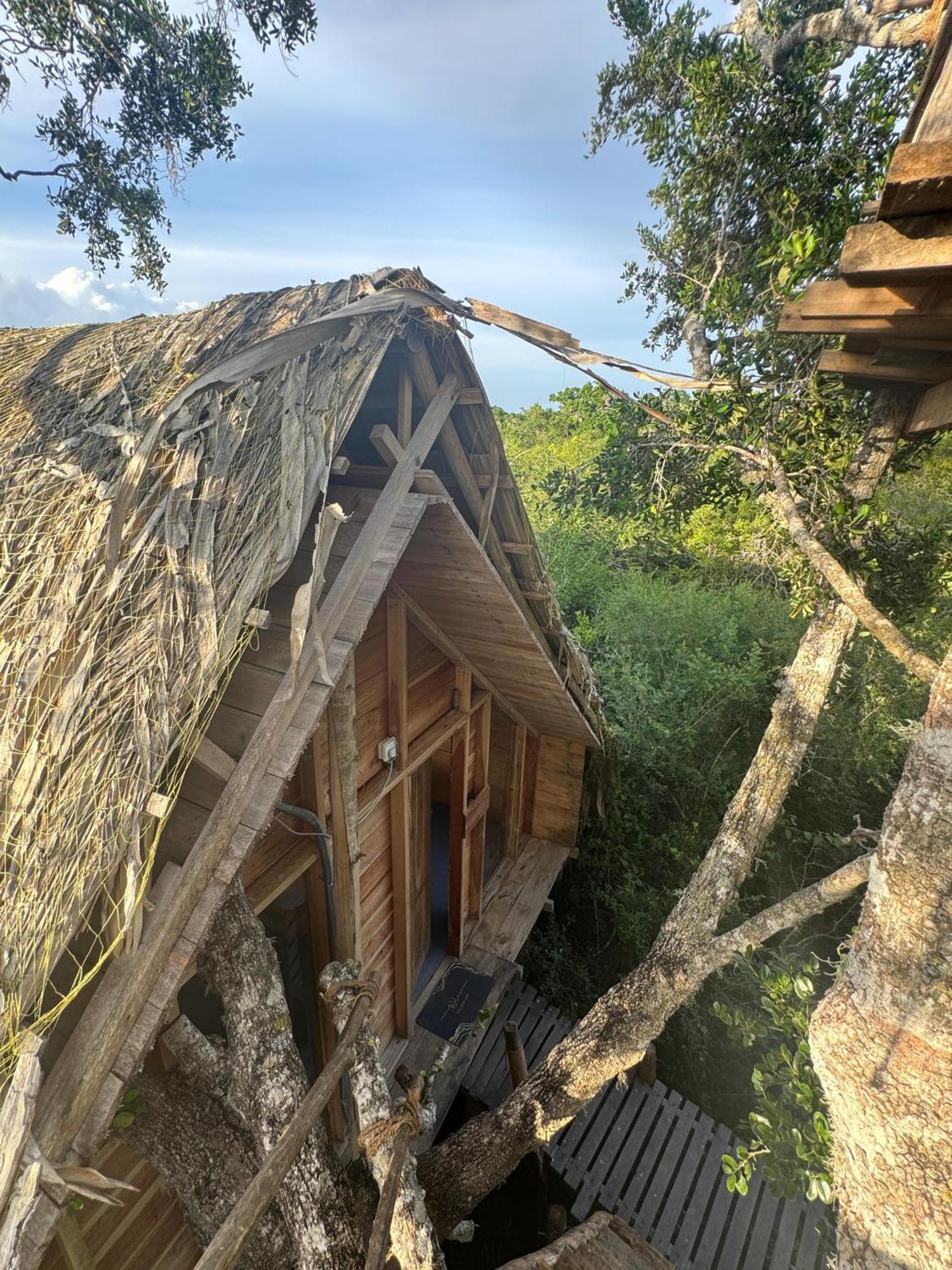 Hotel Mamba Yala Tissamaharama Esterno foto
