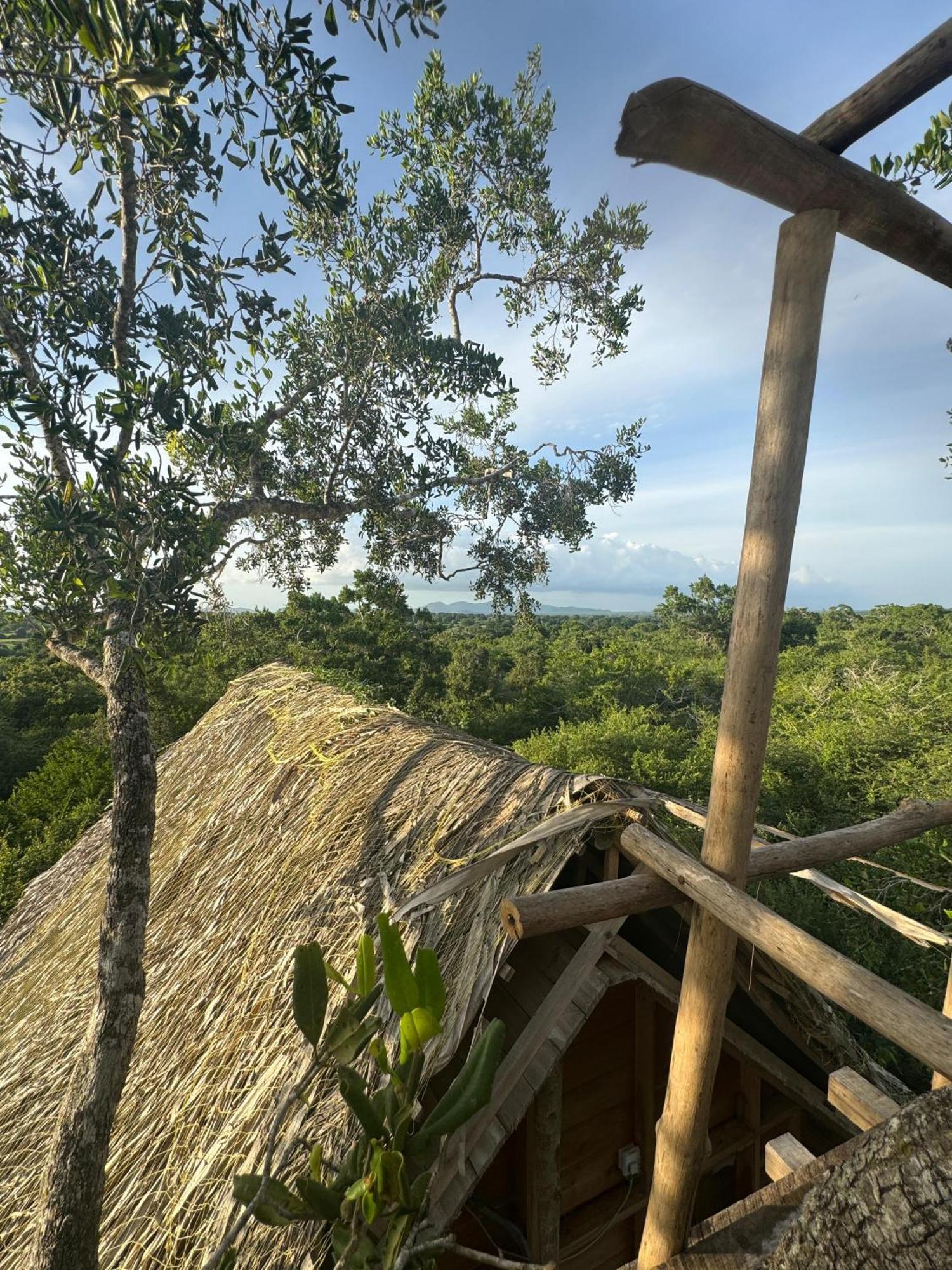 Hotel Mamba Yala Tissamaharama Esterno foto